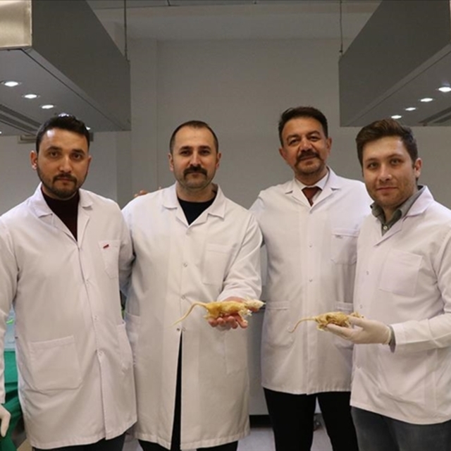 Kadavraların muhafaza maliyetini düşüren teknik geliştirildi