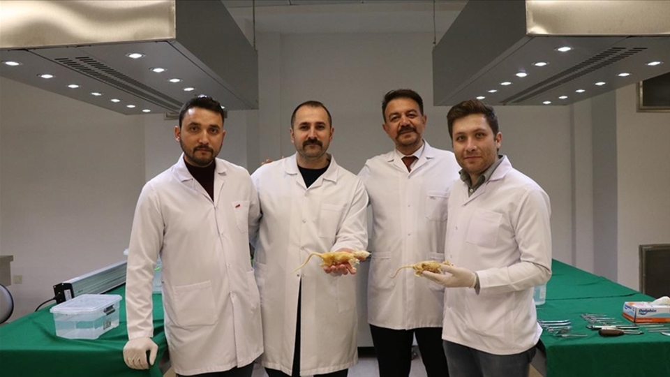 Kadavraların muhafaza maliyetini düşüren teknik geliştirildi