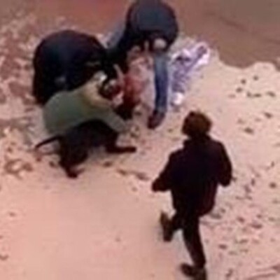 Asiye'ye Pitbull saldırısı davasında sıcak gelişme!