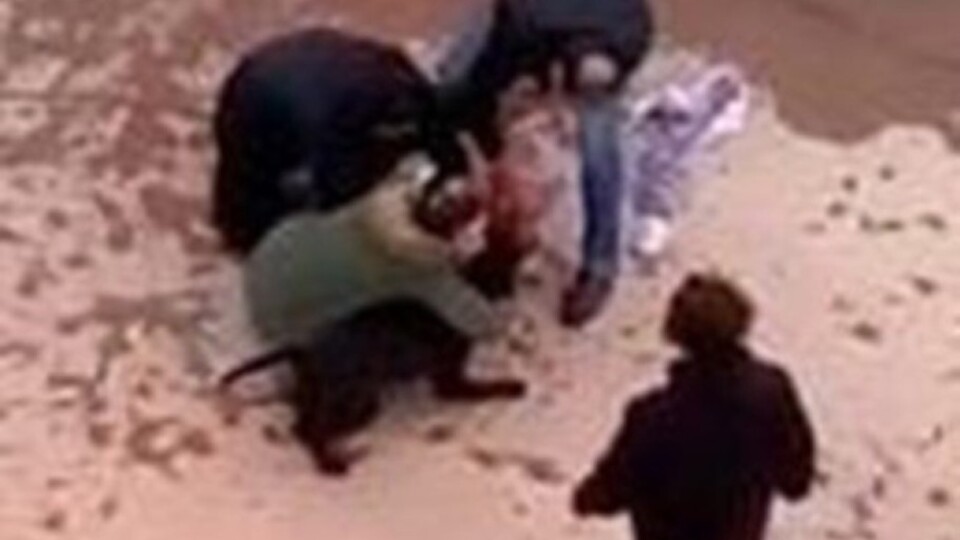 Asiye'ye Pitbull saldırısı davasında sıcak gelişme!