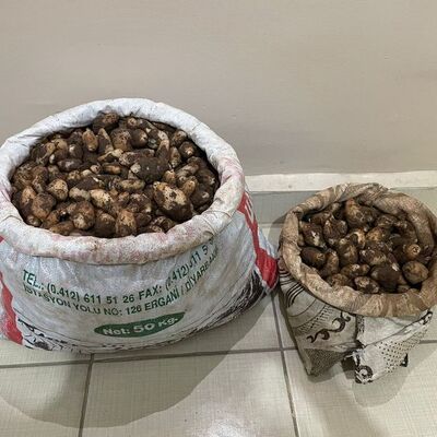 4 kişi toplarken yakalandı! Cezası: 436 bin TL!