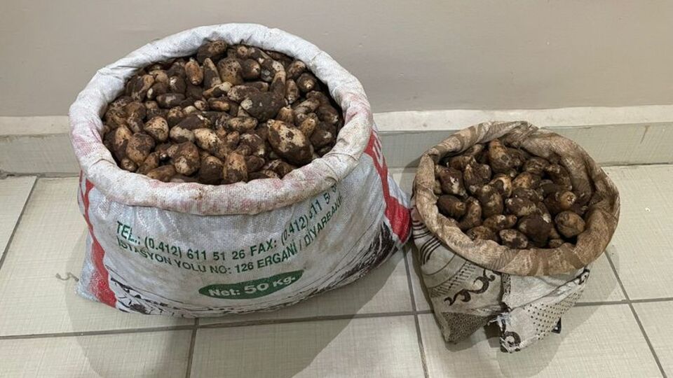 4 kişi toplarken yakalandı! Cezası: 436 bin TL!