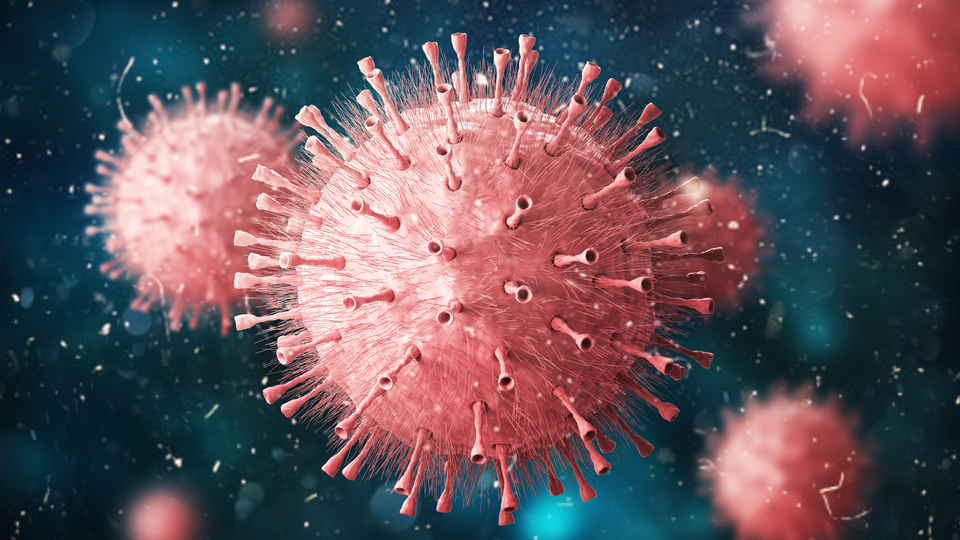 Gizemli virüs yayılıyor! Japonya'da da görüldü