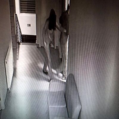 Profesörün DNA'sı iç çamaşırda çıkmıştı! Ek adli tıp raporu açıklandı!