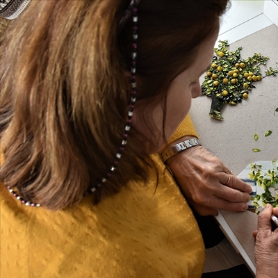 4 ayda 3,8 milyon kişi yararlandı!