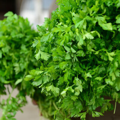 Sofradan eksik etmeyin! İşte bilinmeyen 14 faydası