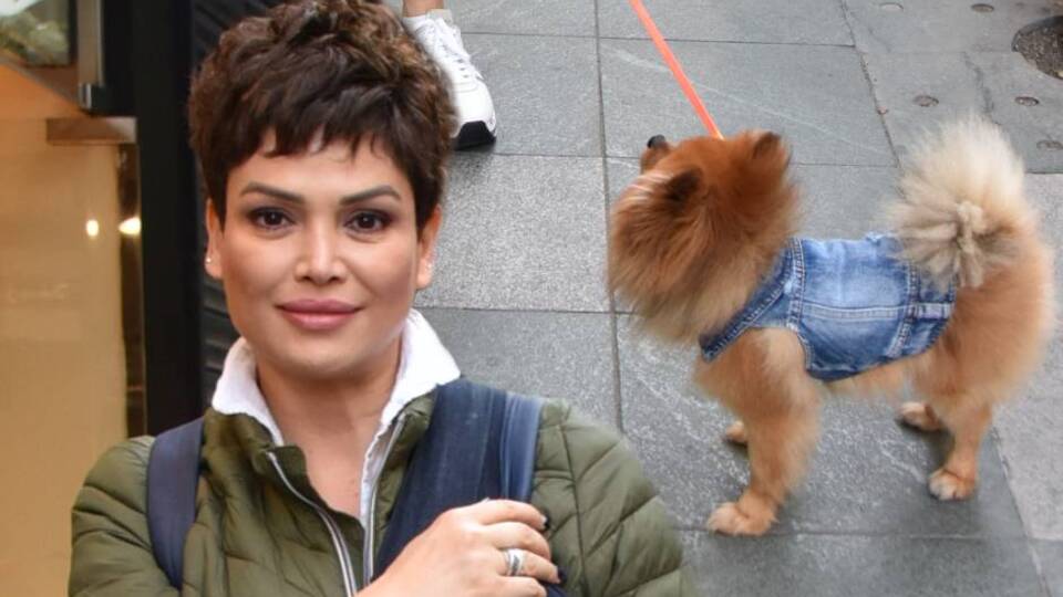 Köpekli yürüyüş