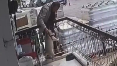 Bunu da gördük! Balkona tırmanıp köpeği çaldı