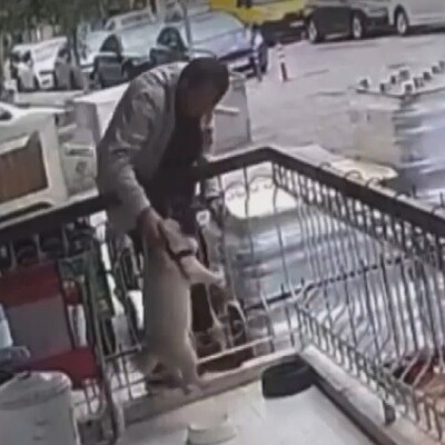 Bunu da gördük! Balkona tırmanıp köpeği çaldı