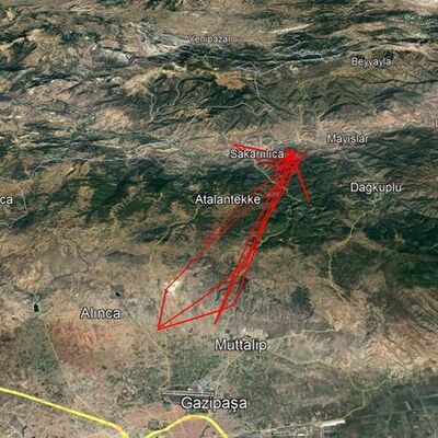 10 günde 500 kilometre! Vericiyle izleniyor