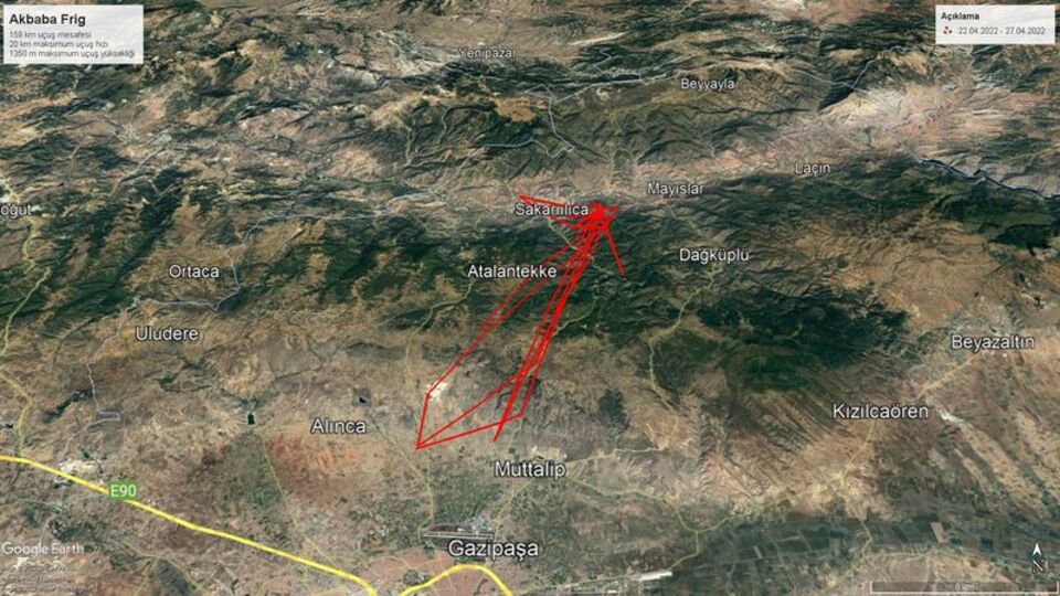 10 günde 500 kilometre! Vericiyle izleniyor