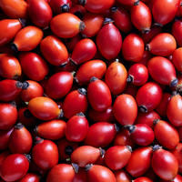 Kuşburnunun faydaları