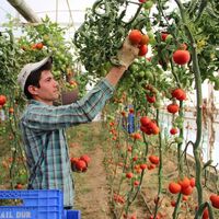 Üretici enflasyonu yıllık yüzde 121.82