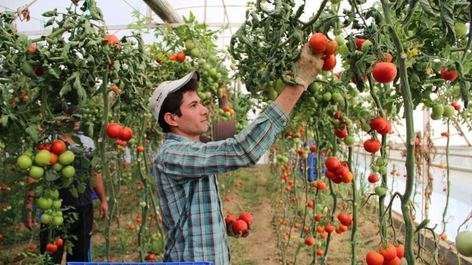 Üretici enflasyonu yıllık yüzde 121.82