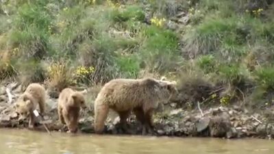 Yan yana geldi, çok yakından görüntüledi!
