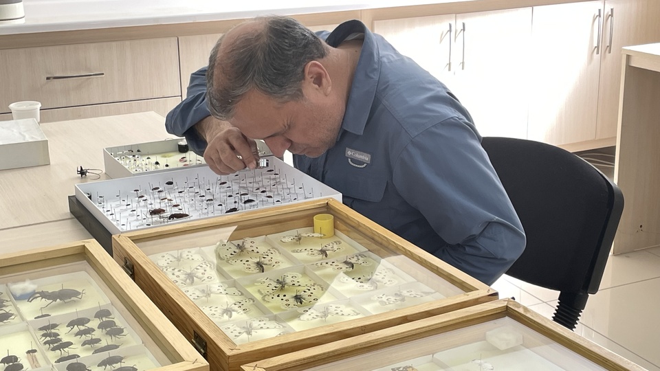 Göller Yöresi'nde keşfedildi... 15 yılda 17 tür!