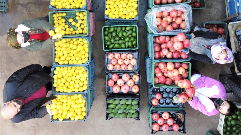 Tarım ihracatında yüzde 24 artış