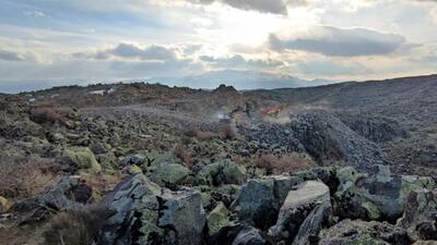 Terör örgütü PKK'ya darbe! Ağrı grubu yok edildi