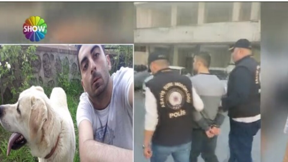 7 dil bilen dahi katil!