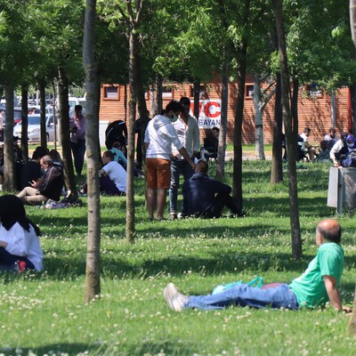 Dikkat! Uygun şekilde çıkarılmazsa ölümcül olabilir