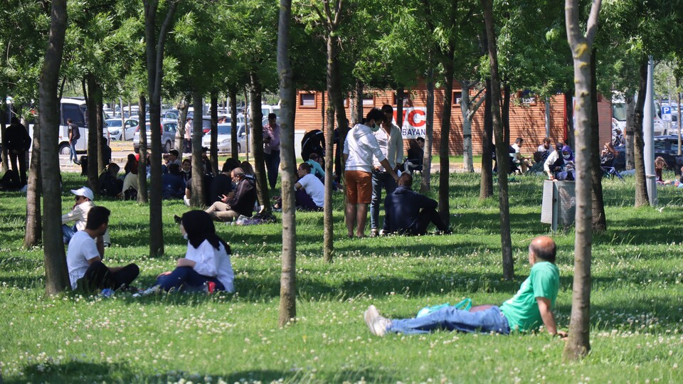 Dikkat! Uygun şekilde çıkarılmazsa ölümcül olabilir