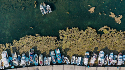 Büyükçekmece Gölü'nde korkutan yosun birikintileri