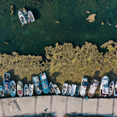 Büyükçekmece Gölü'nde korkutan yosun birikintileri