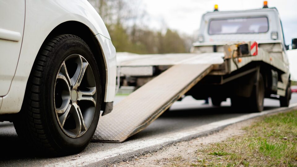 Türkiye'den çıkan İspanyol yerli oldu!