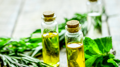 Nane yağının cilde faydaları