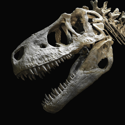 Jurassic Park filmine ilham vermişti... Rekor fiyat!