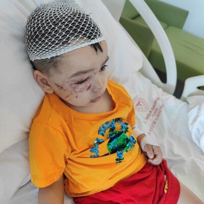 Köpek güzellik yarışmasında korkunç olay!