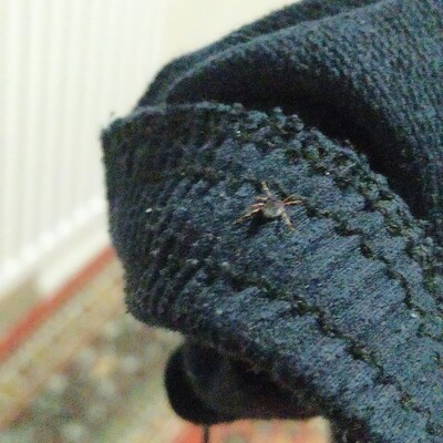 Kabus geri döndü, bir can aldı!