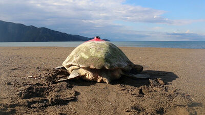 Sinyal kesildi! 8'i aranıyor