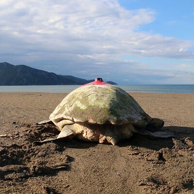 Sinyal kesildi! 8'i aranıyor