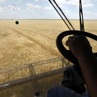 G7 ülkelerinden küresel tahıl krizi uyarısı