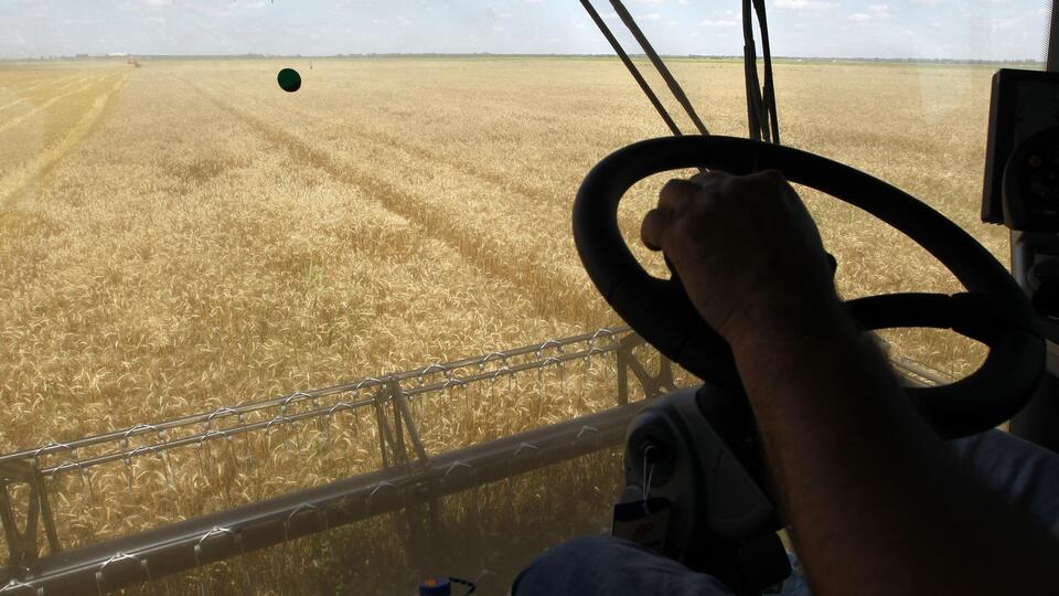 G7 ülkelerinden küresel tahıl krizi uyarısı