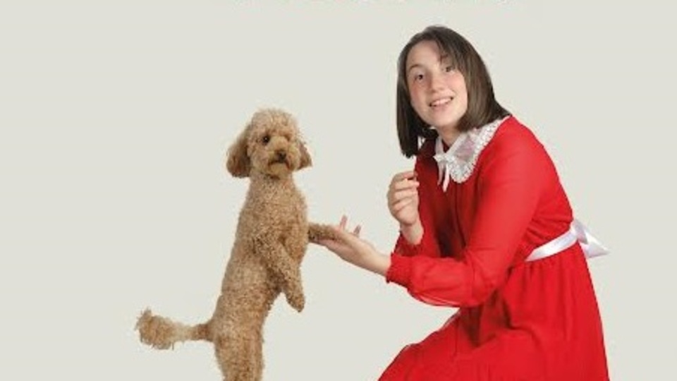 3 büyük şehirde 'Annie Müzikali'