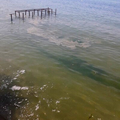 Büyükada açıklarında endişelendiren görüntü!