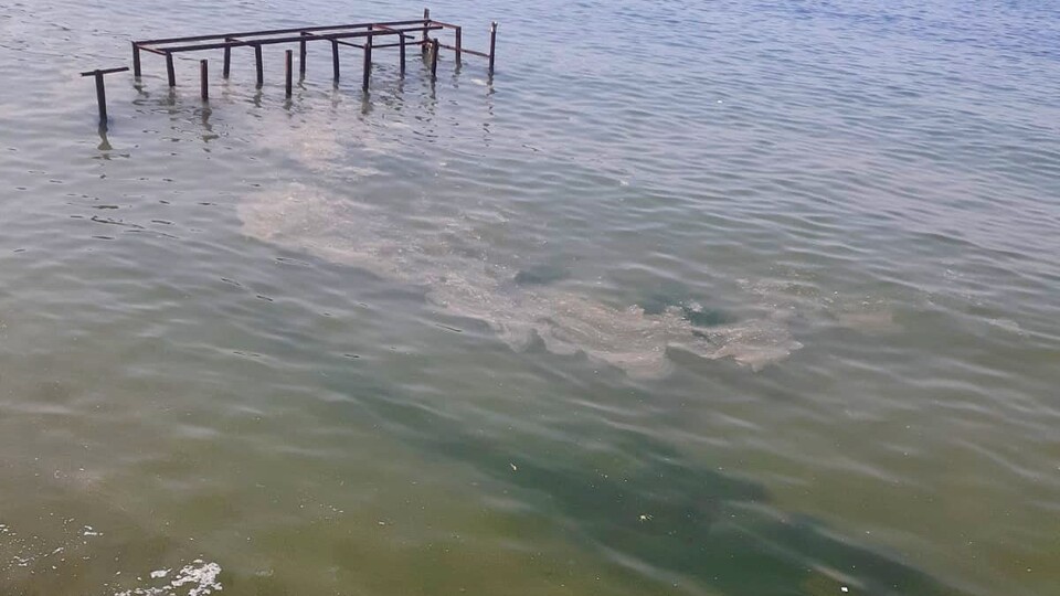 Büyükada açıklarında endişelendiren görüntü!