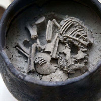 İçerisinde bebek iskeleti bulunmuştu... Görücüye çıktı