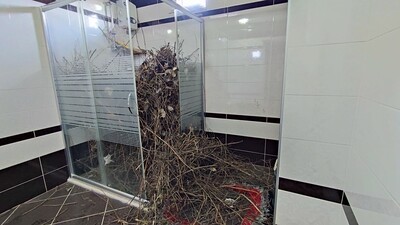 2 yıldır boş duran evde şaşırtan görüntü