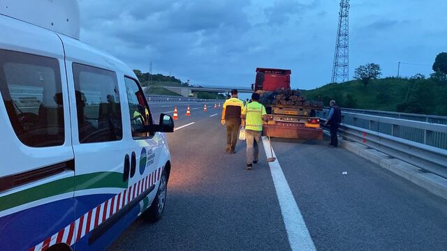 Arızalanan TIR'dan indi, başka bir TIR'ın çarpmasıyla öldü