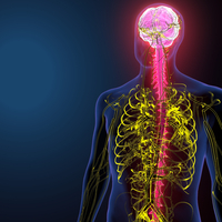 Mikroplastik kâbusunun yıkıcı etkileri giderek büyüyor!