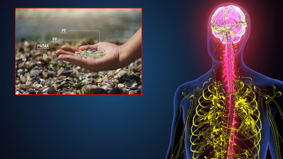 Mikroplastik kâbusunun yıkıcı etkileri giderek büyüyor!