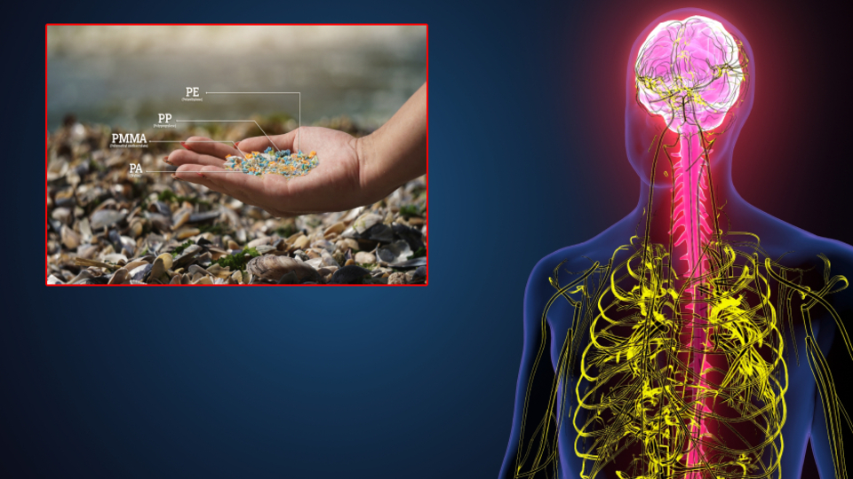 Mikroplastik kâbusunun yıkıcı etkileri giderek büyüyor!