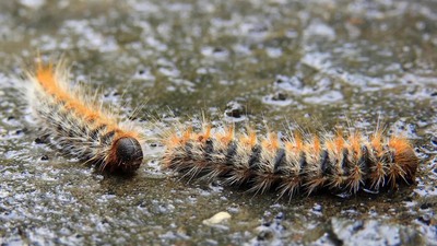 Sakın temas etmeyin!