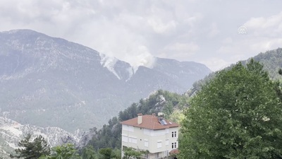 Antalya'da orman yangını çıktı!