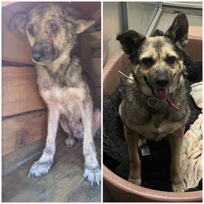 Sosyal medya kaderini değiştirdi! Zonguldak'tan Londra'ya...