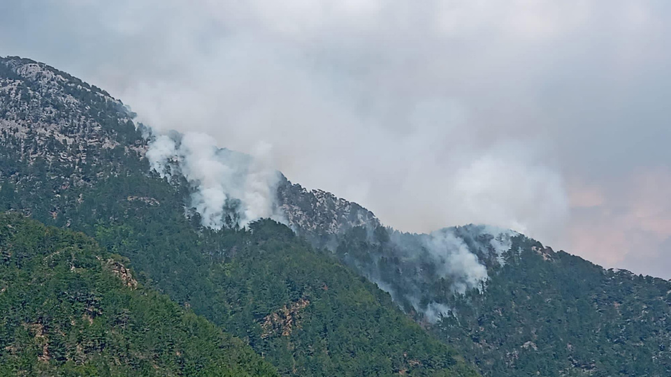 Antalya'daki feci yangın 1 gün sonra kontrol altında