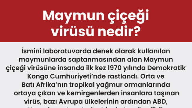 Maymun çiçeği virüsü nedir?